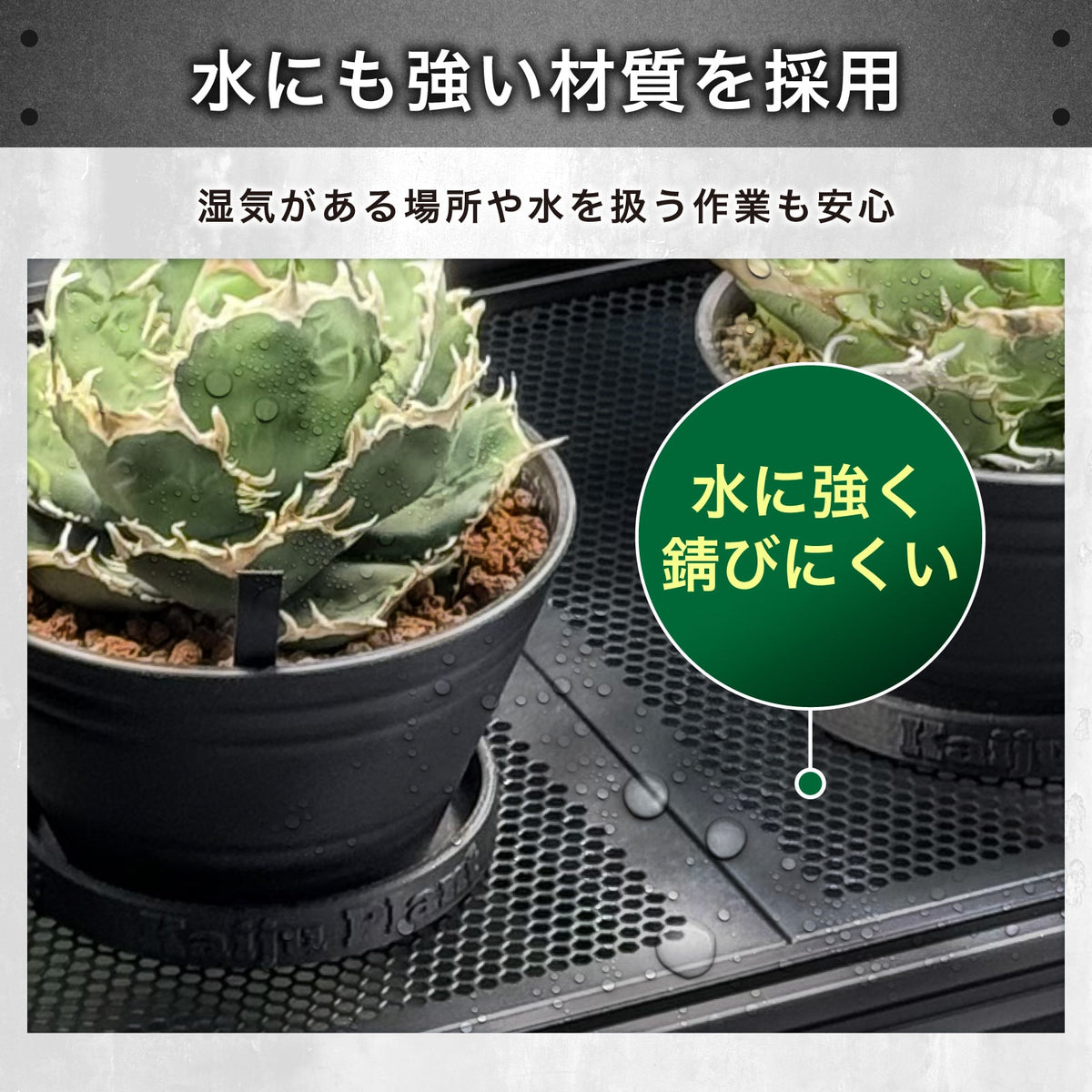 Kaiju Plant 怪獣ラック