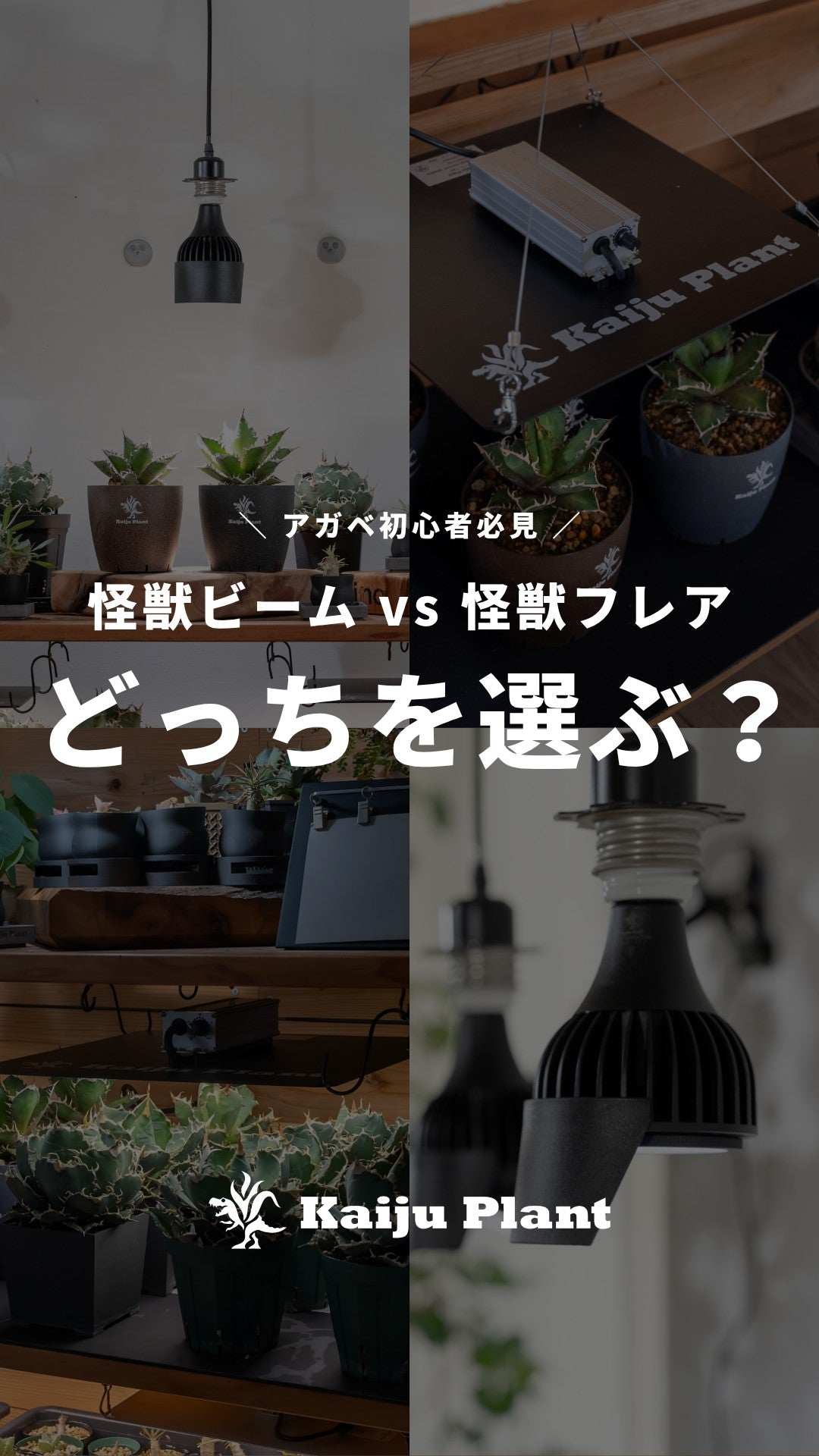怪獣ビームと怪獣フレア、育成スタイルで選ぶ植物育成ライト