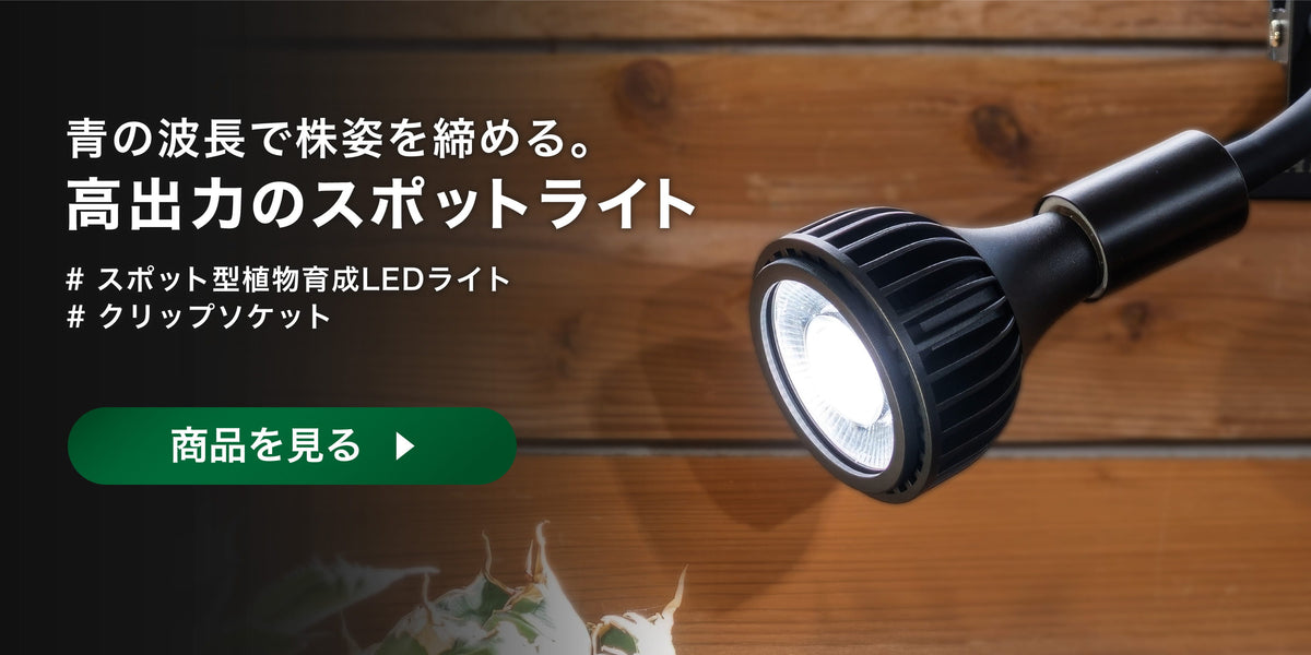 スポット型植物育成ライト