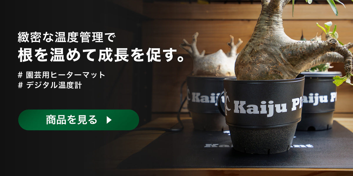 温度管理