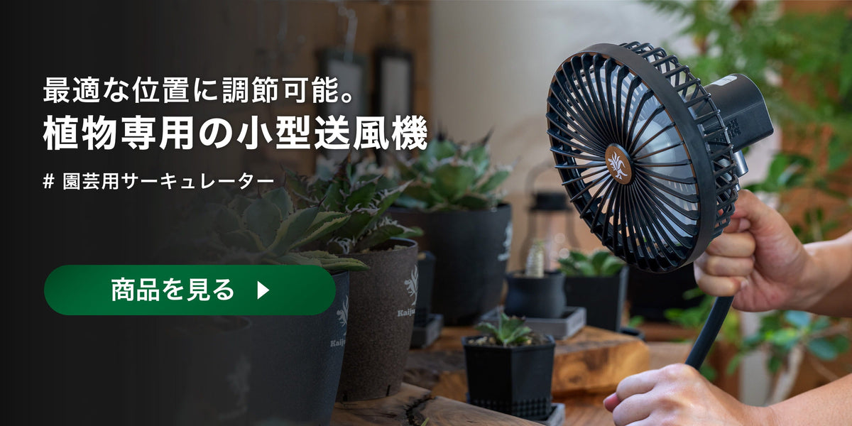 送風・サーキュレーター