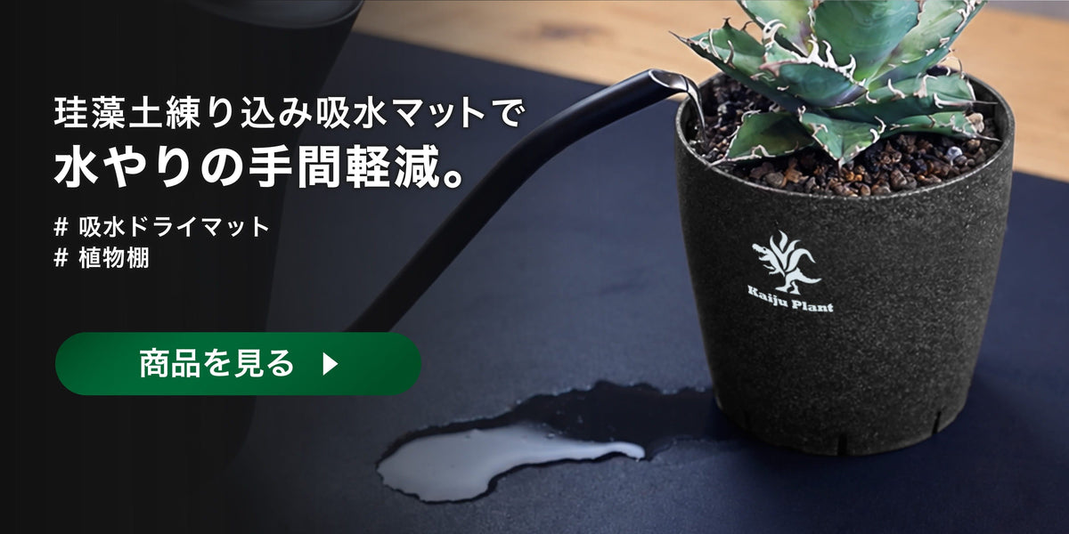 水やり・育成棚