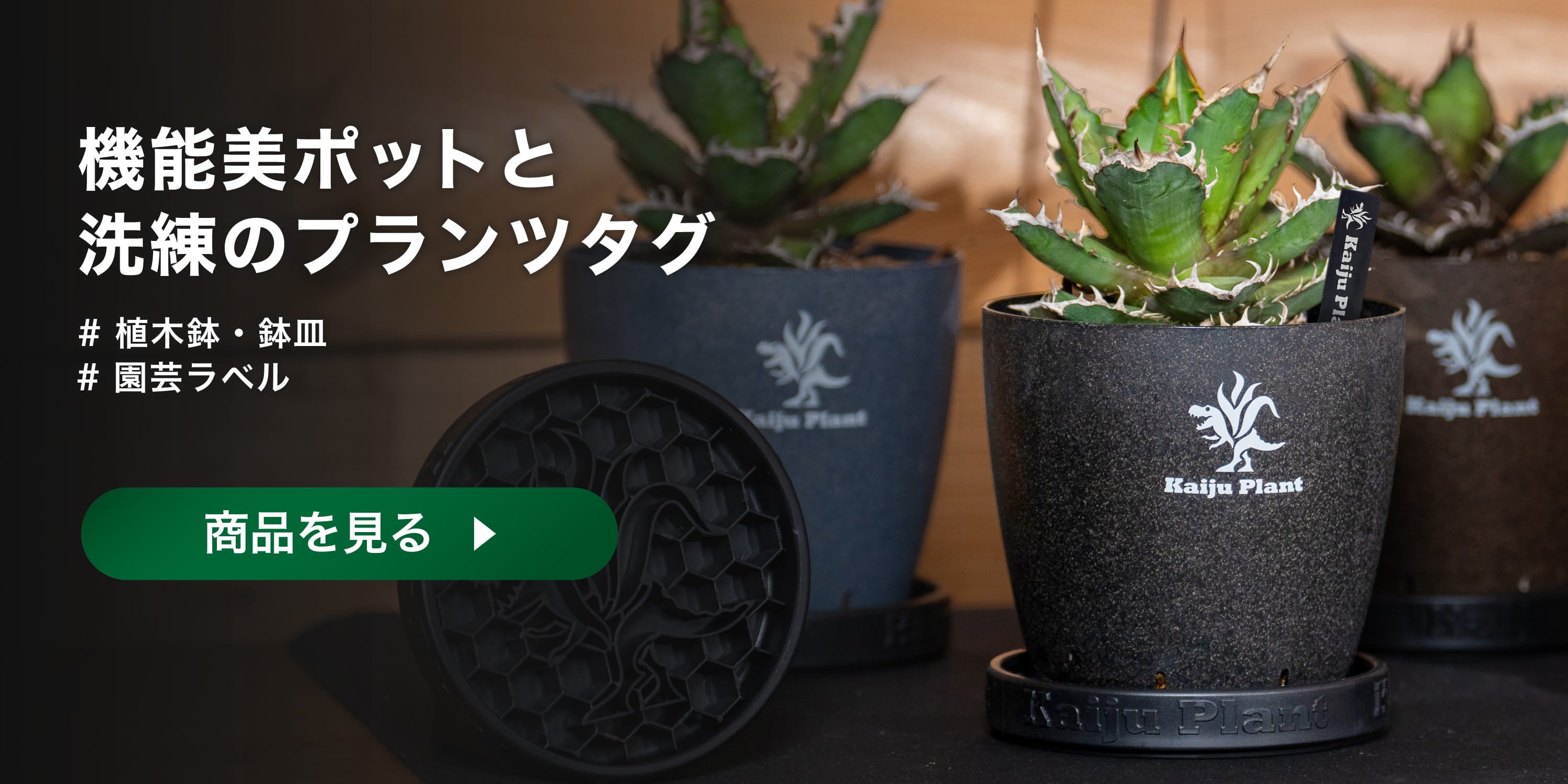 植物育成ライト – Kaiju Plant