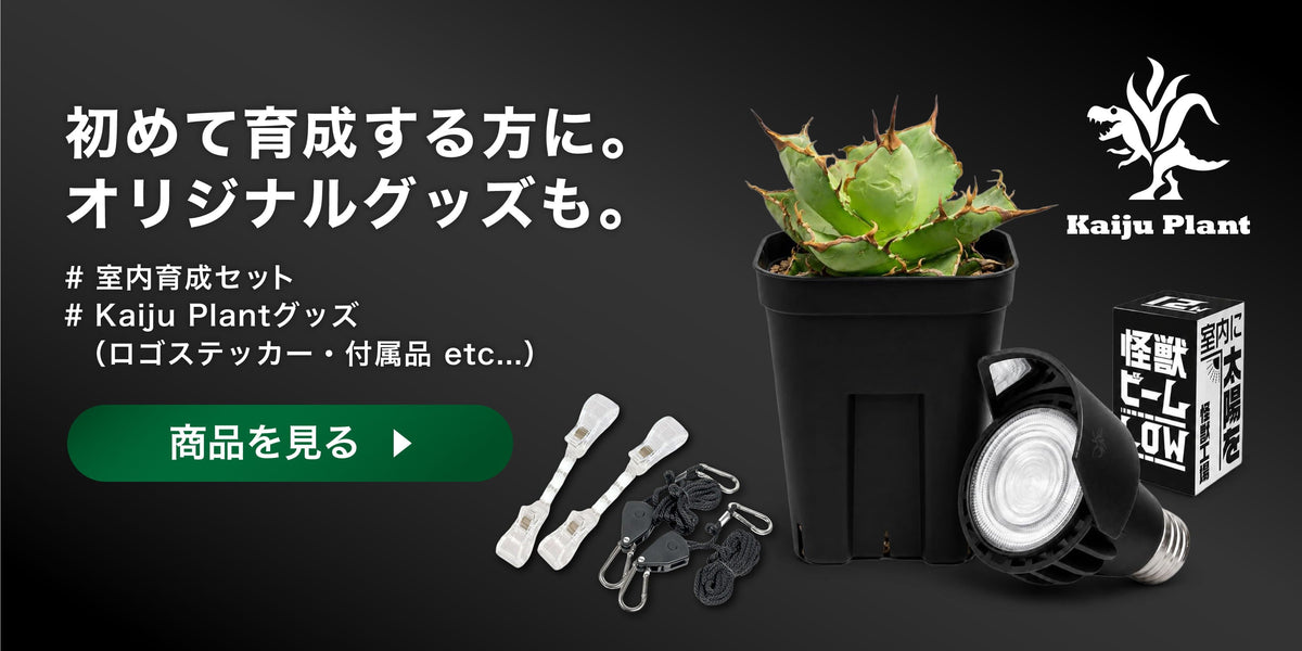 室内育成セット・ブランドグッズ