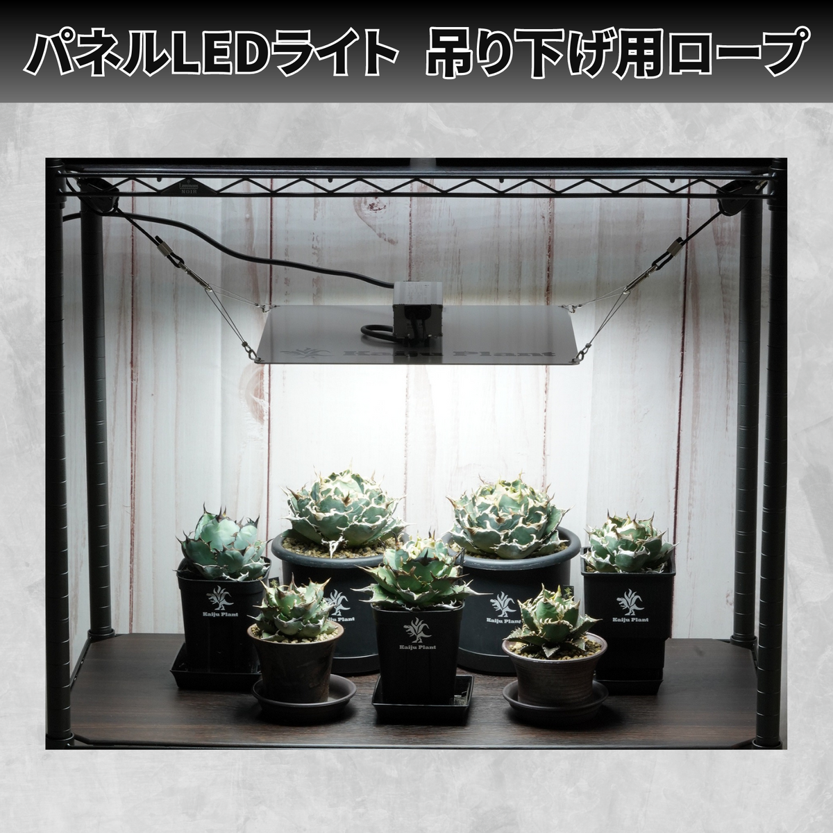 Kaiju Plant パネルLED吊り下げロープ