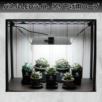 Kaiju Plant パネルLED吊り下げロープ