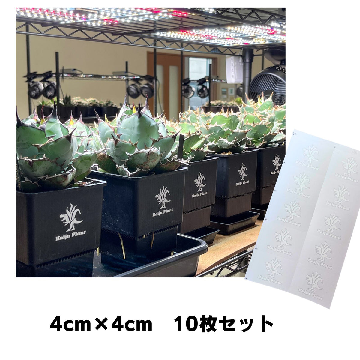 Kaiju Plant ブランドロゴステッカー