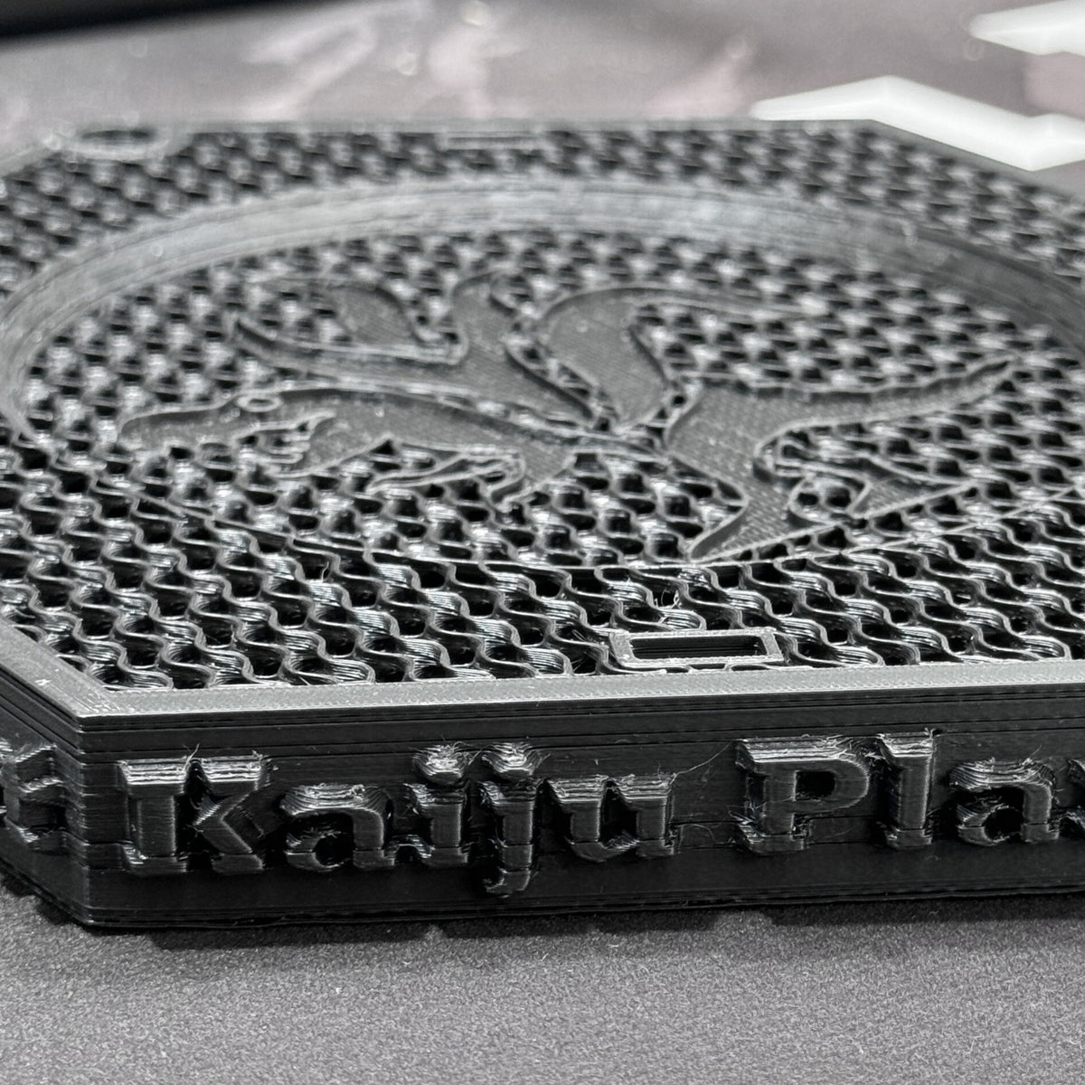 Kaiju Plant ビカク Bang M【Shopify限定】