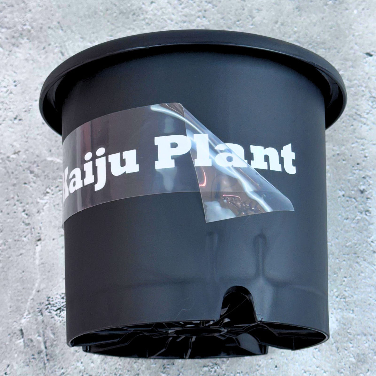 Kaiju Plant ブランドロゴステッカー