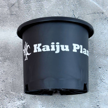 Kaiju Plant ブランドロゴステッカー