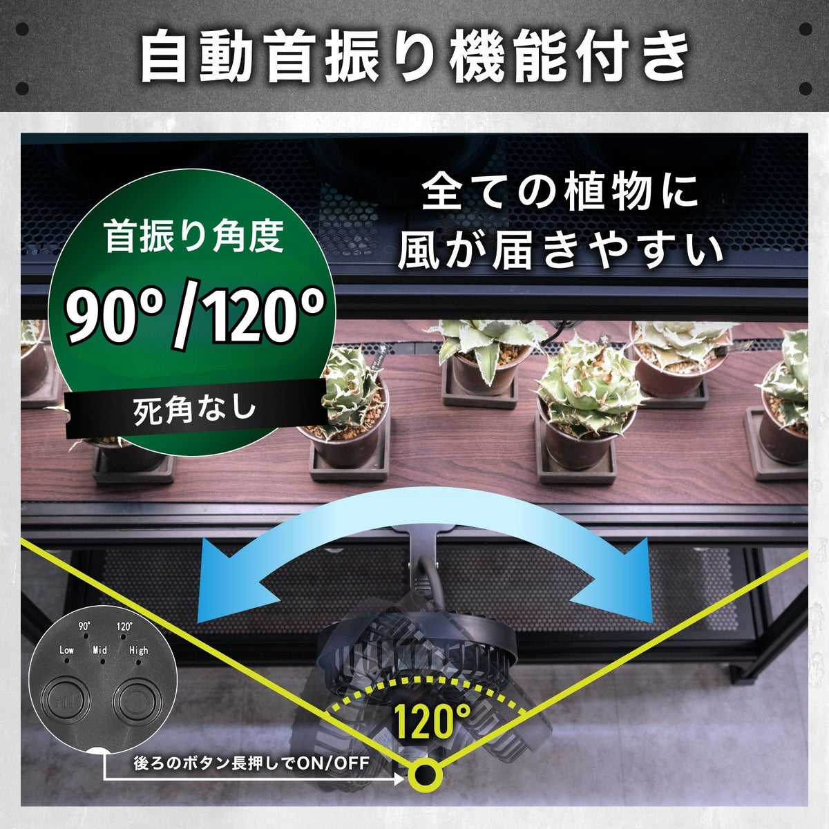 Kaiju Plant 怪獣ファン