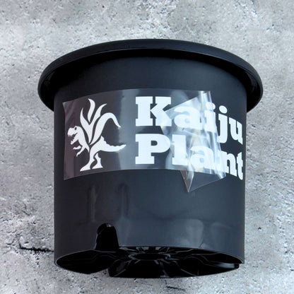 Kaiju Plant ブランドロゴステッカー
