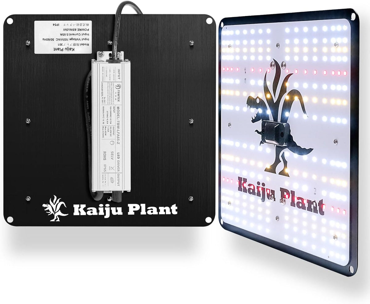 Kaiju Plant 怪獣フレア301 S 65W