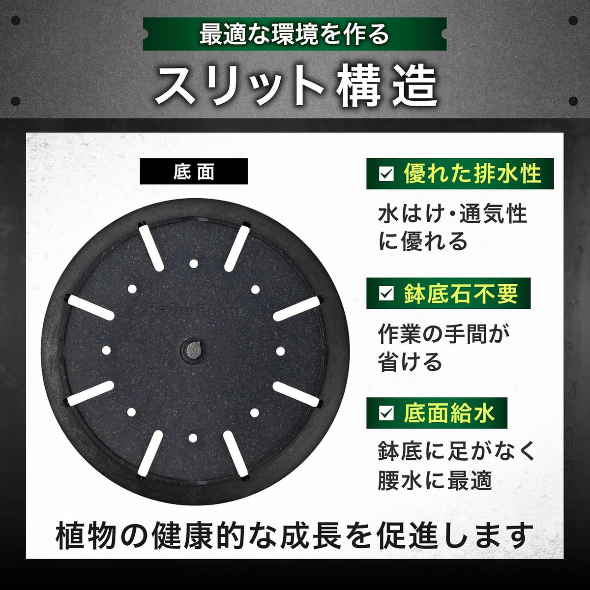 Kaiju Plant 怪獣ポット Eco 4.5