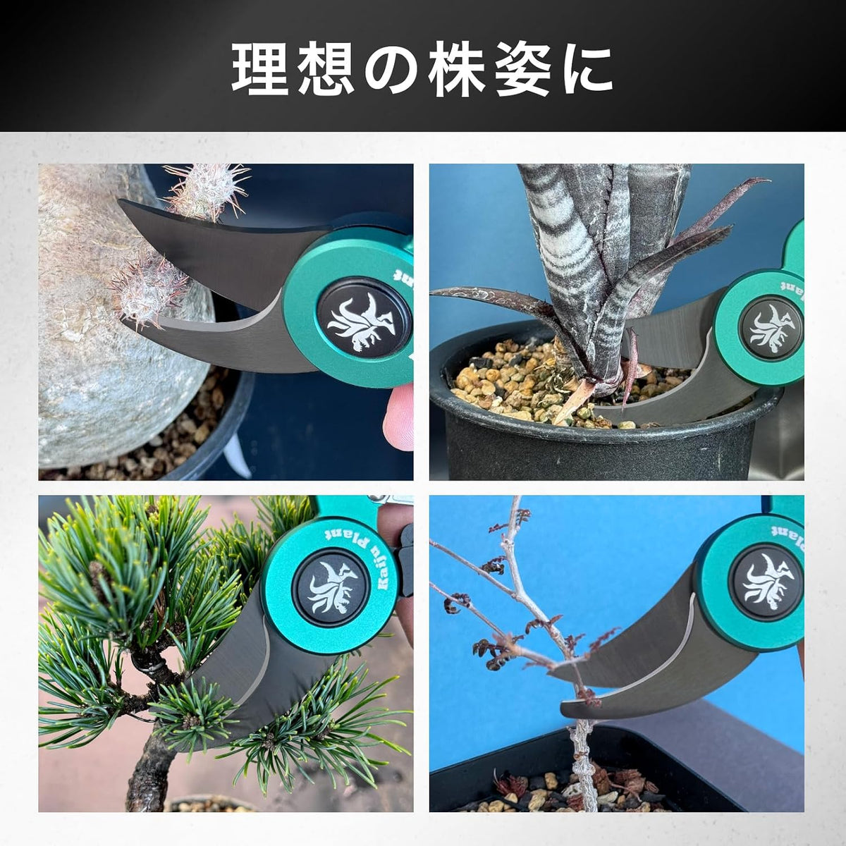 Kaiju Plant 怪獣シザー ブランチ