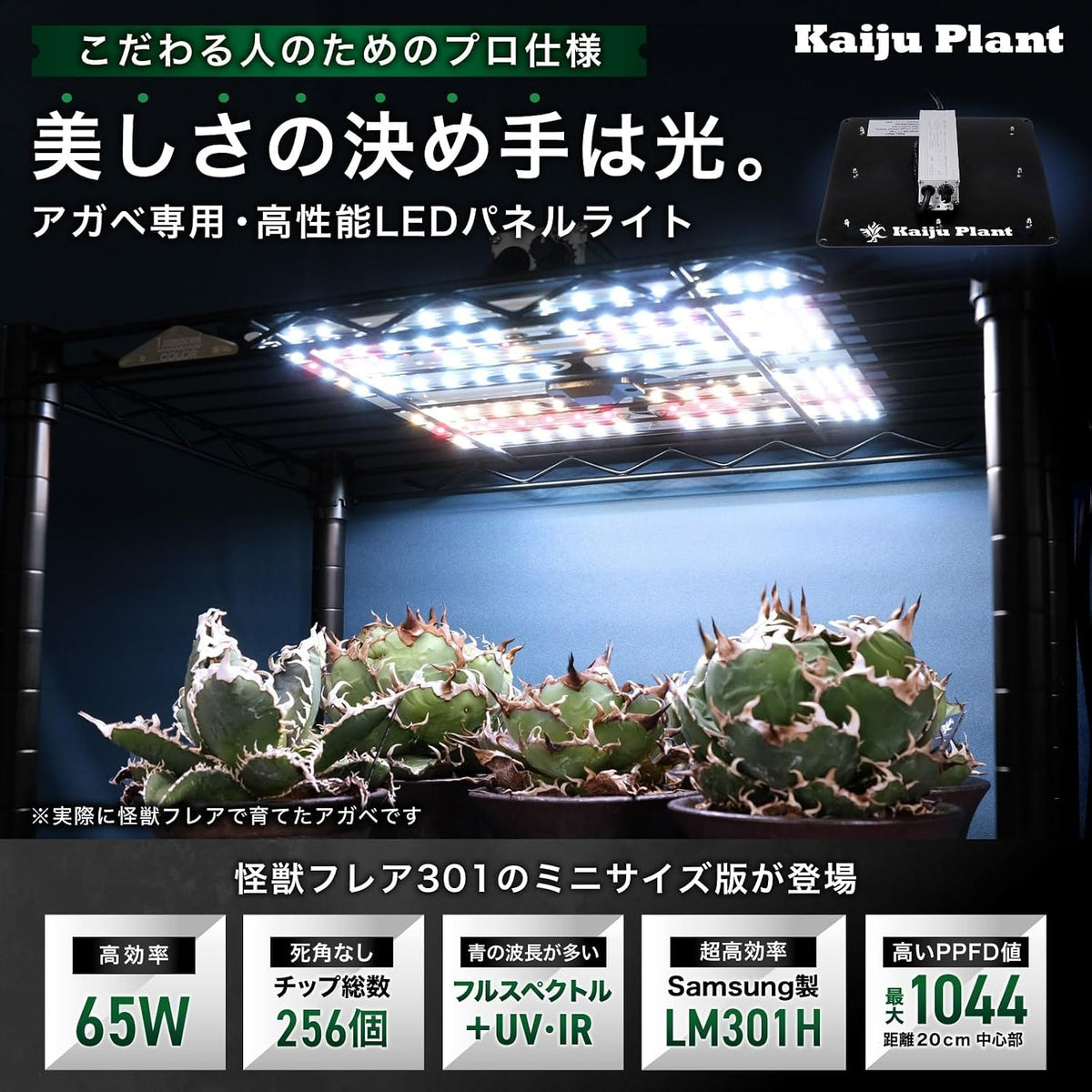 Kaiju Plant 怪獣フレア301 S 65W
