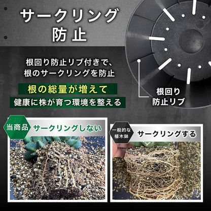 Kaiju Plant 怪獣ポット Eco 4.5
