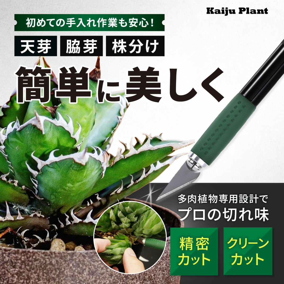 アガベ・多肉植物用の小型園芸ナイフ「怪獣ブレード」の代表商品画像