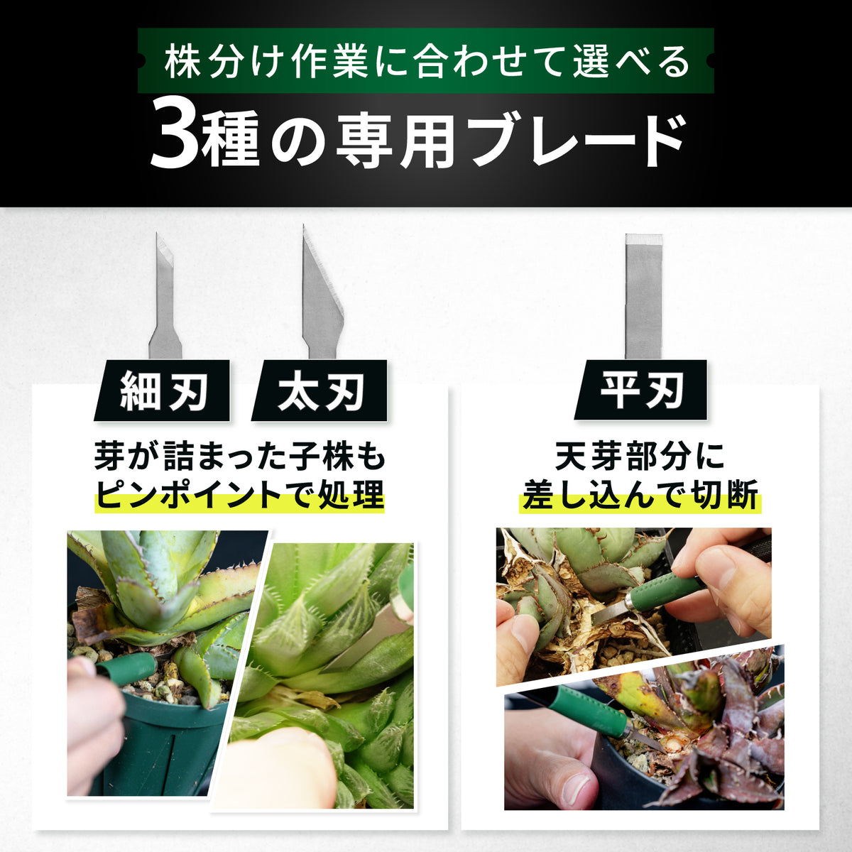 Kaiju Plant 怪獣ブレード