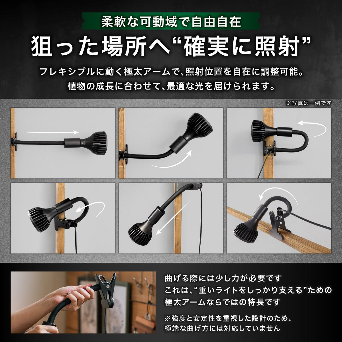 Kaiju Plant 怪獣クリップソケット E26