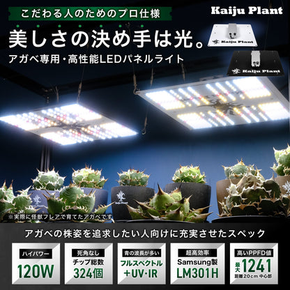 Kaiju Plant 怪獣フレア301 120W