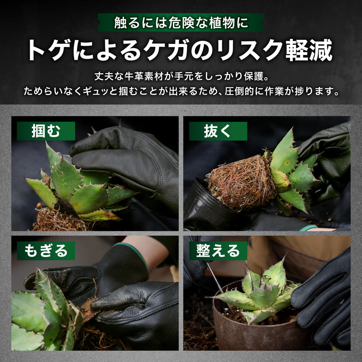 Kaiju Plant 怪獣グローブ