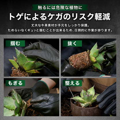 Kaiju Plant 怪獣グローブ