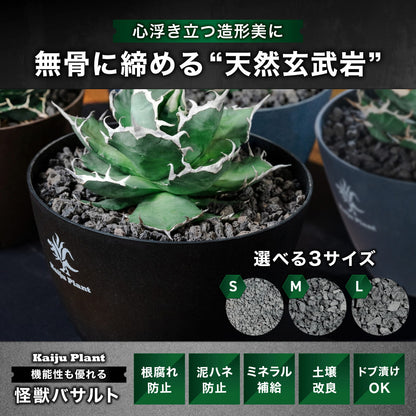 Kaiju Plant 怪獣バサルト