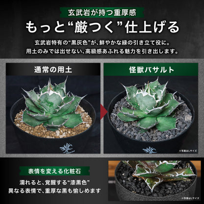 Kaiju Plant 怪獣バサルト