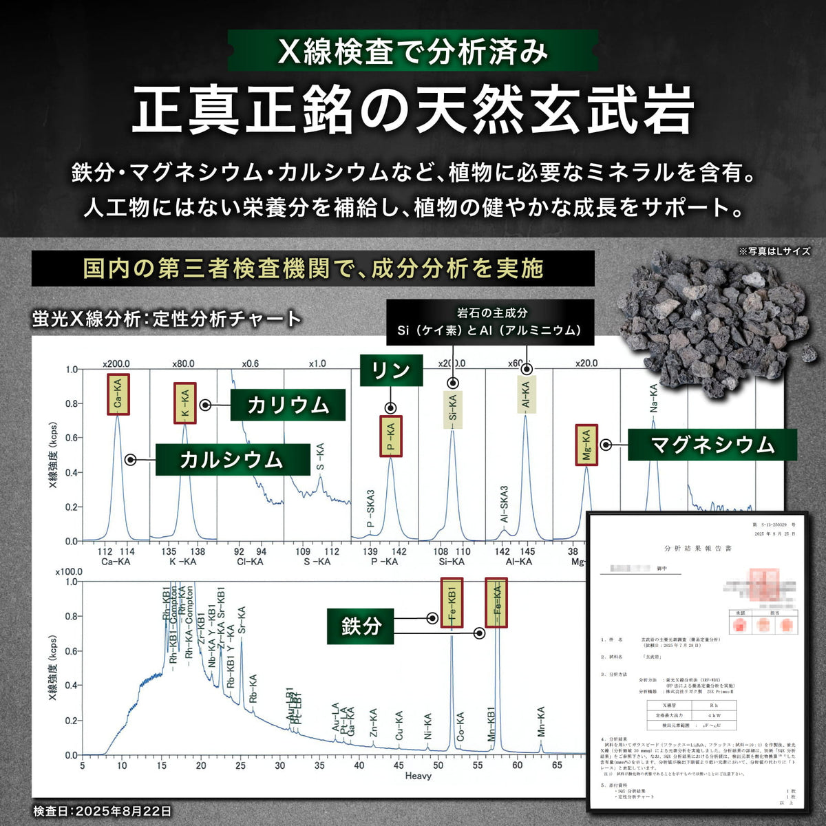 Kaiju Plant 怪獣バサルト