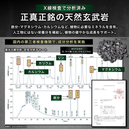 Kaiju Plant 怪獣バサルト