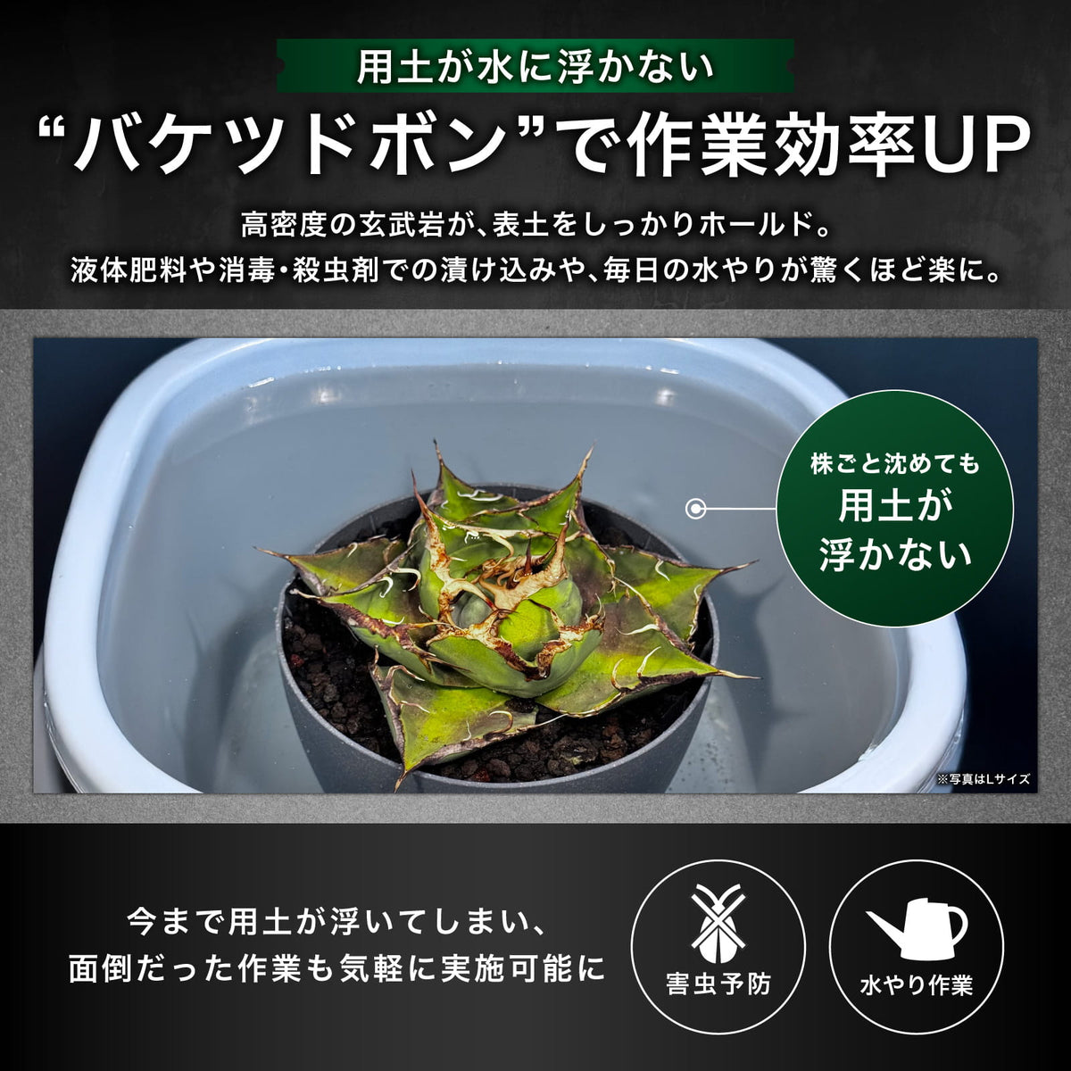 Kaiju Plant 怪獣バサルト