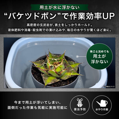 Kaiju Plant 怪獣バサルト