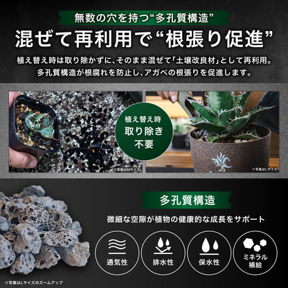Kaiju Plant 怪獣バサルト