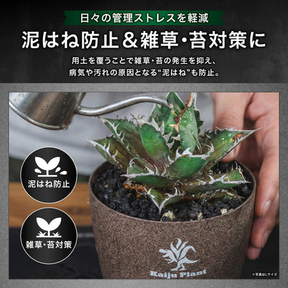 Kaiju Plant 怪獣バサルト