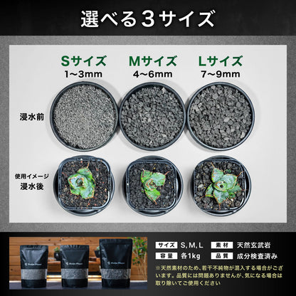 Kaiju Plant 怪獣バサルト