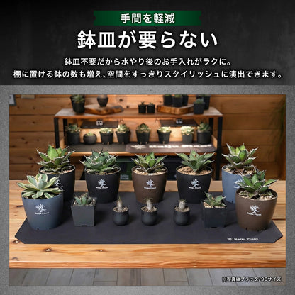 Kaiju Plant 怪獣ドライマット