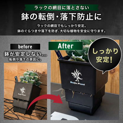 Kaiju Plant 怪獣ドライマット