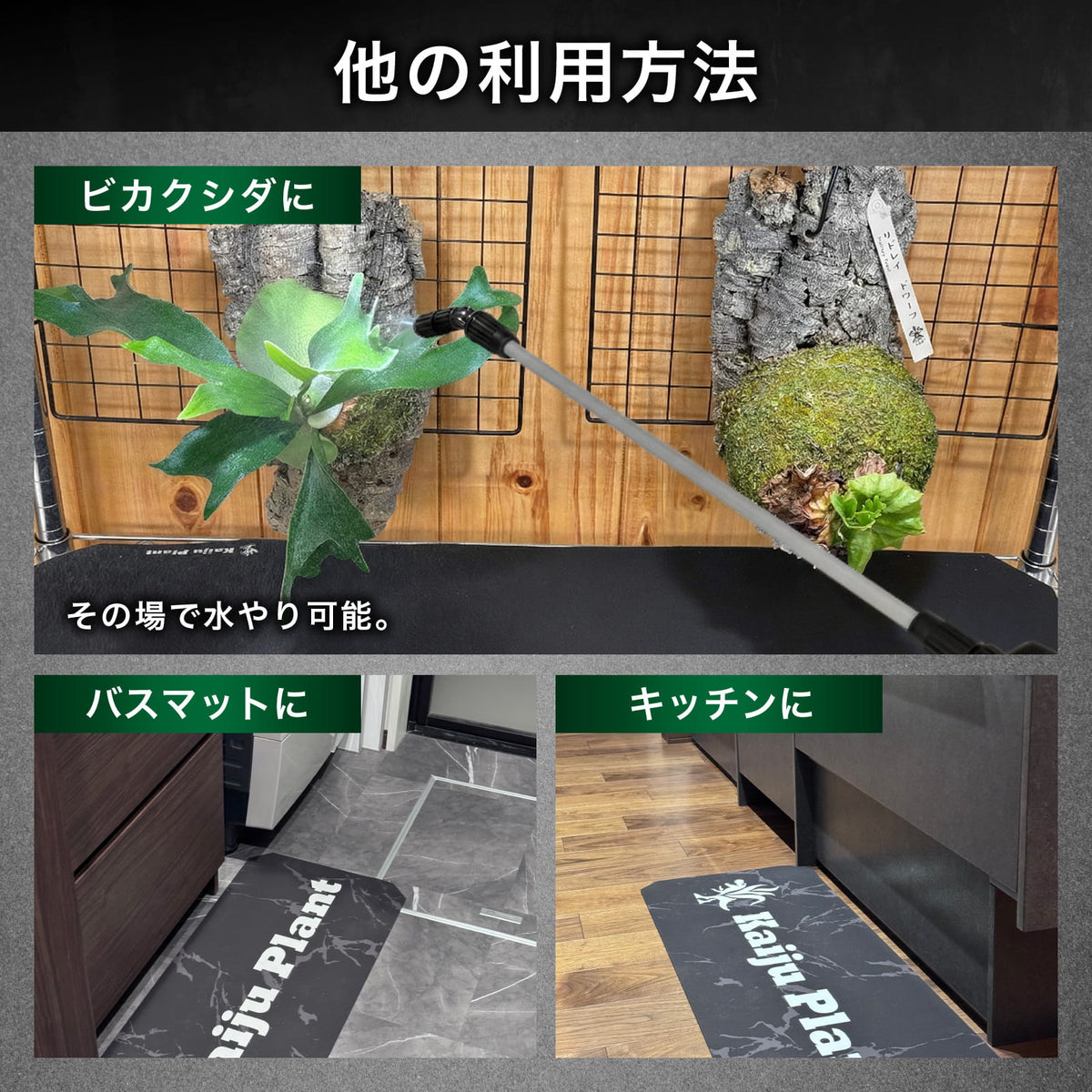 Kaiju Plant 怪獣ドライマット