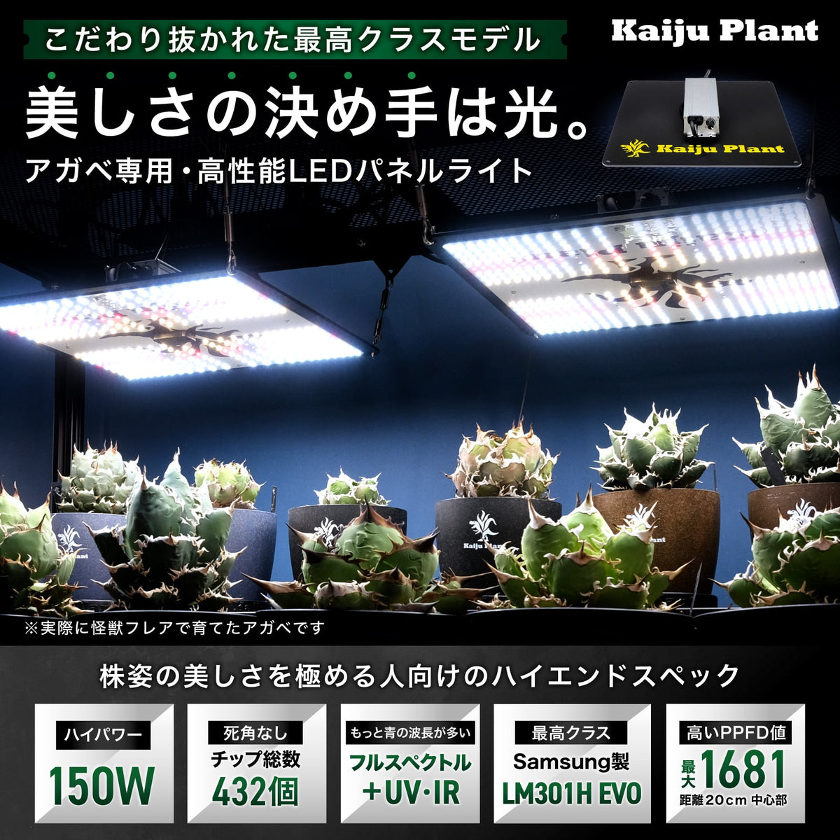 Kaiju Plant 怪獣フレア301 Evo 150W