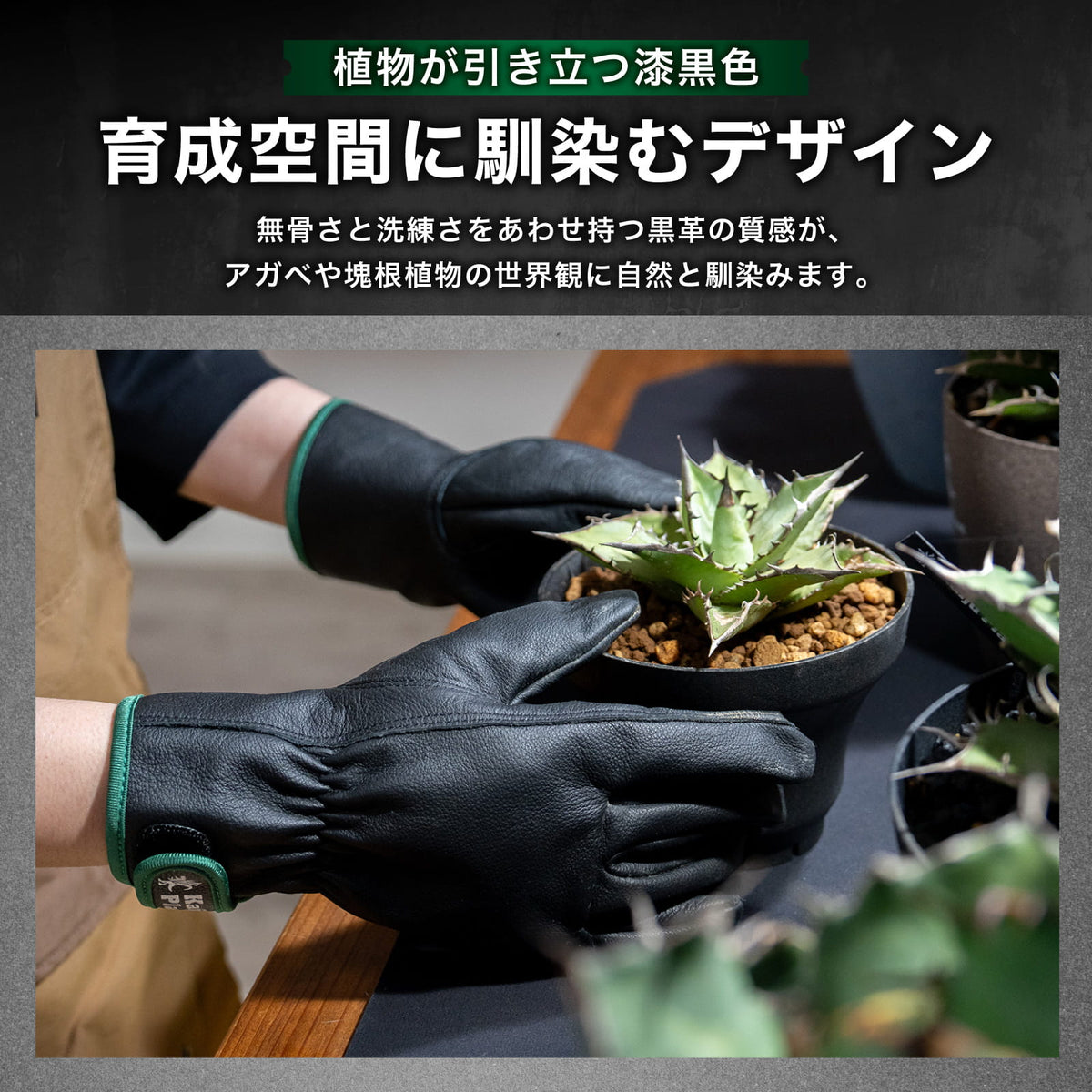 Kaiju Plant 怪獣グローブ