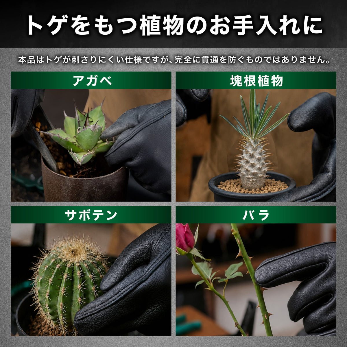Kaiju Plant 怪獣グローブ