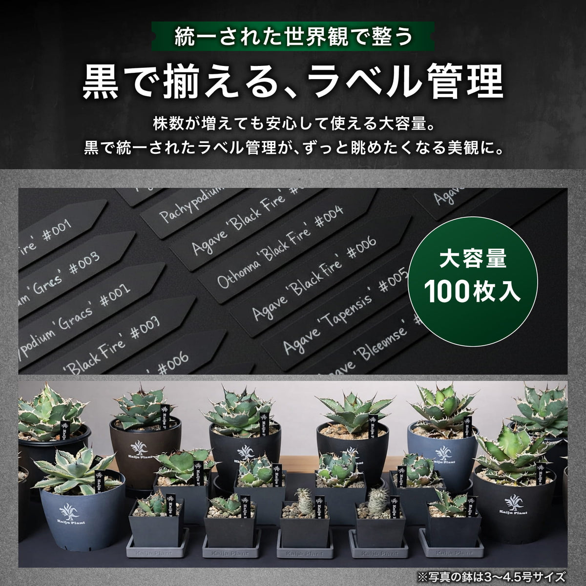 Kaiju Plant 園芸ラベル