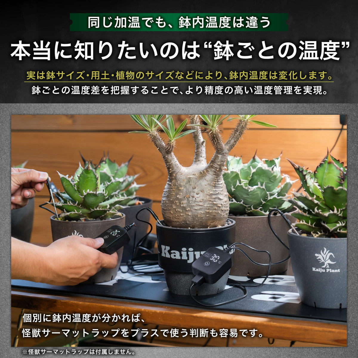 Kaiju Plant 怪獣プローブ