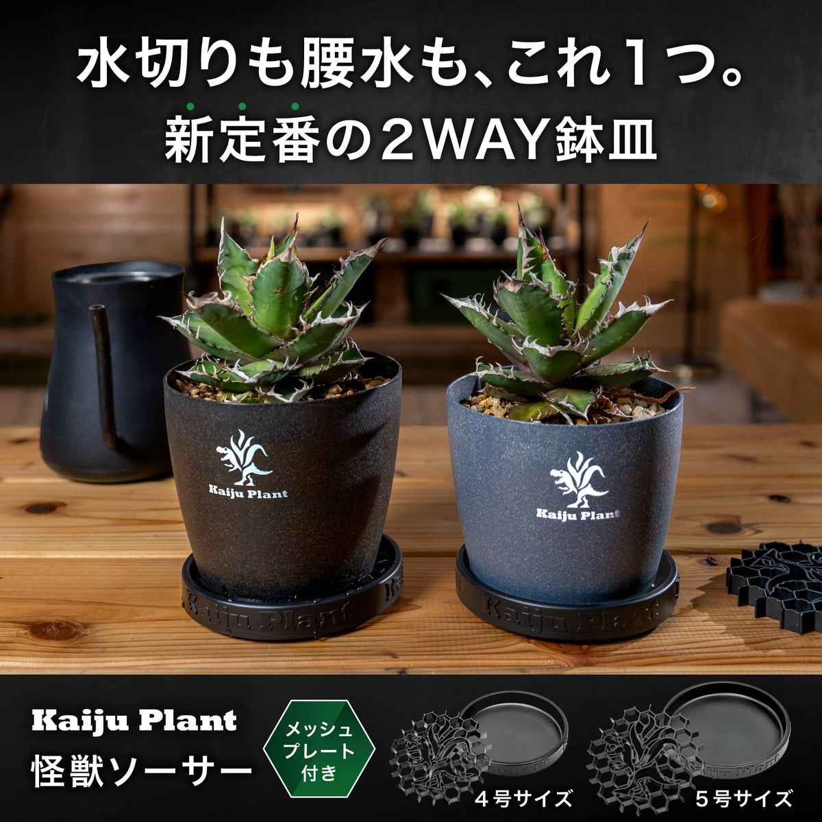 Kaiju Plant 怪獣ソーサー Eco