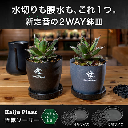 Kaiju Plant 怪獣ソーサー Eco