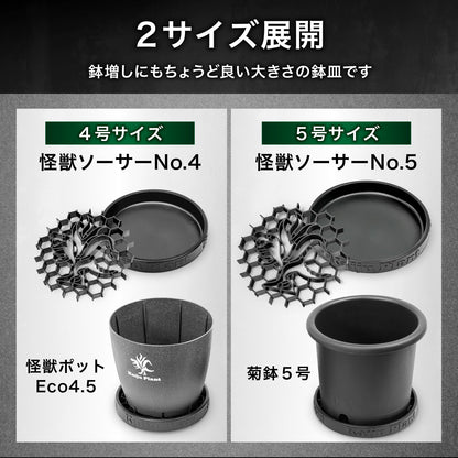 Kaiju Plant 怪獣ソーサー Eco