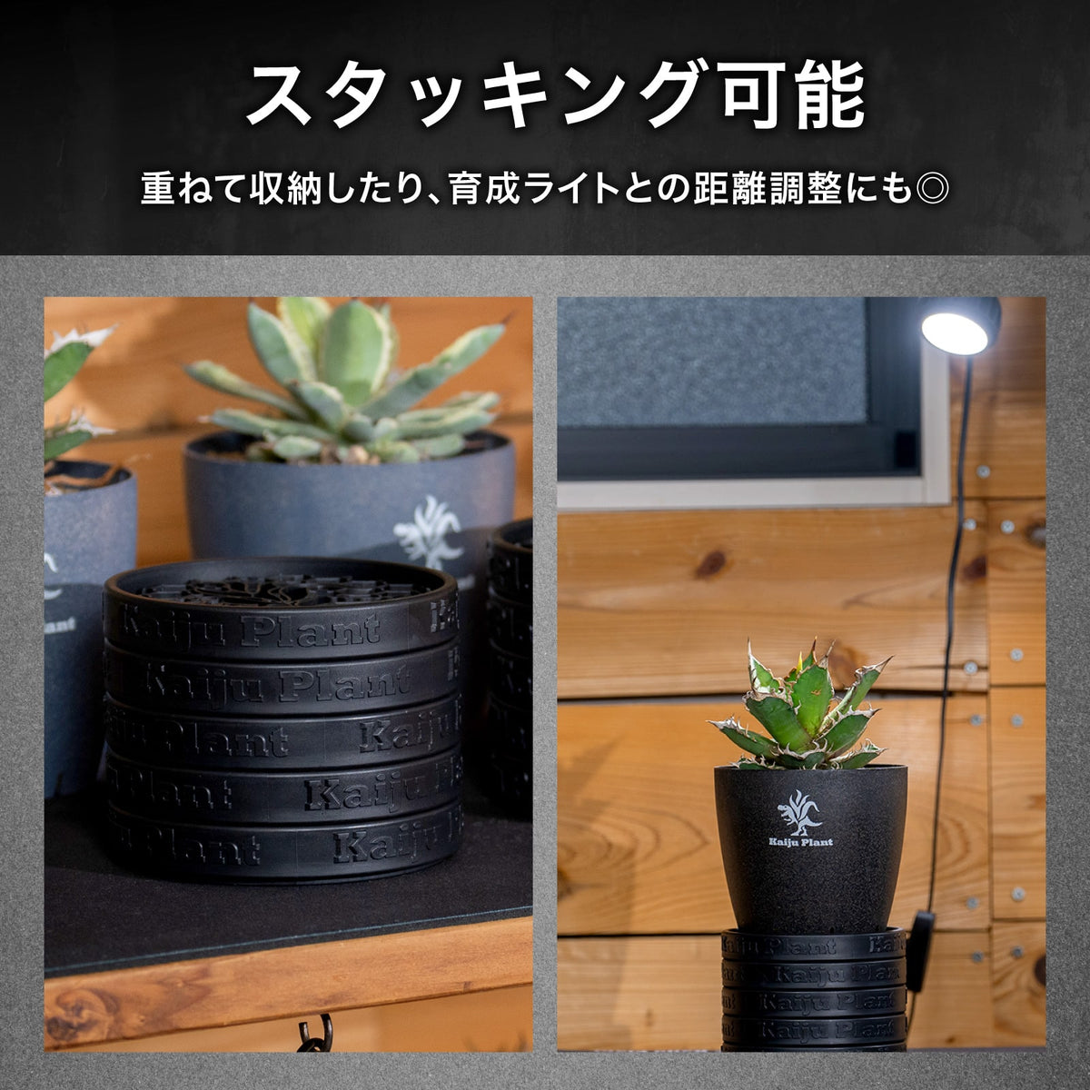 Kaiju Plant 怪獣ソーサー Eco