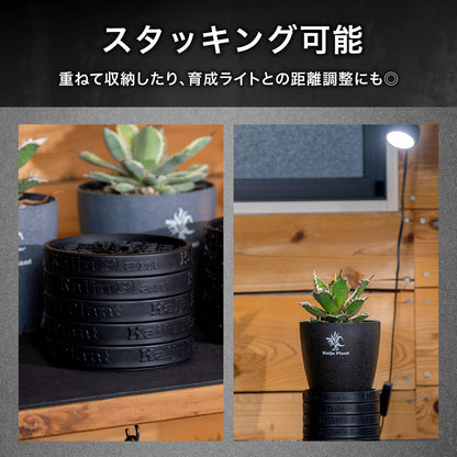 Kaiju Plant 怪獣ソーサー Eco