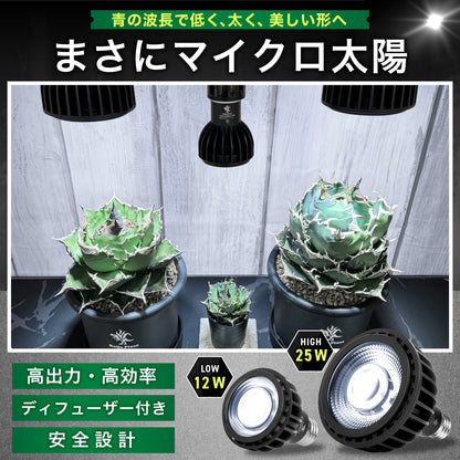 Kaiju Plant 怪獣ビーム HIGH 25W